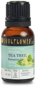 Sunflower Tea Tree Oil | Best Tea Tree Oil
